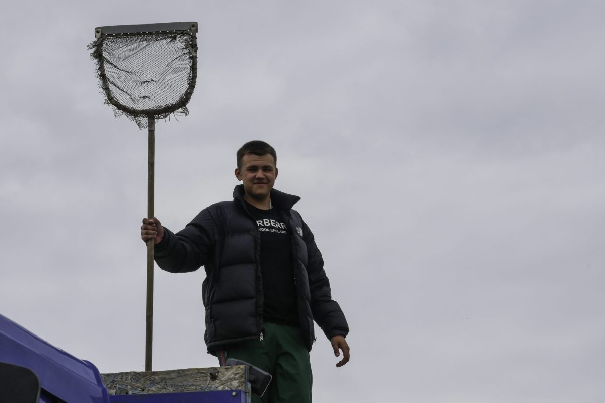 Мы сделали Волгу чище и богаче!