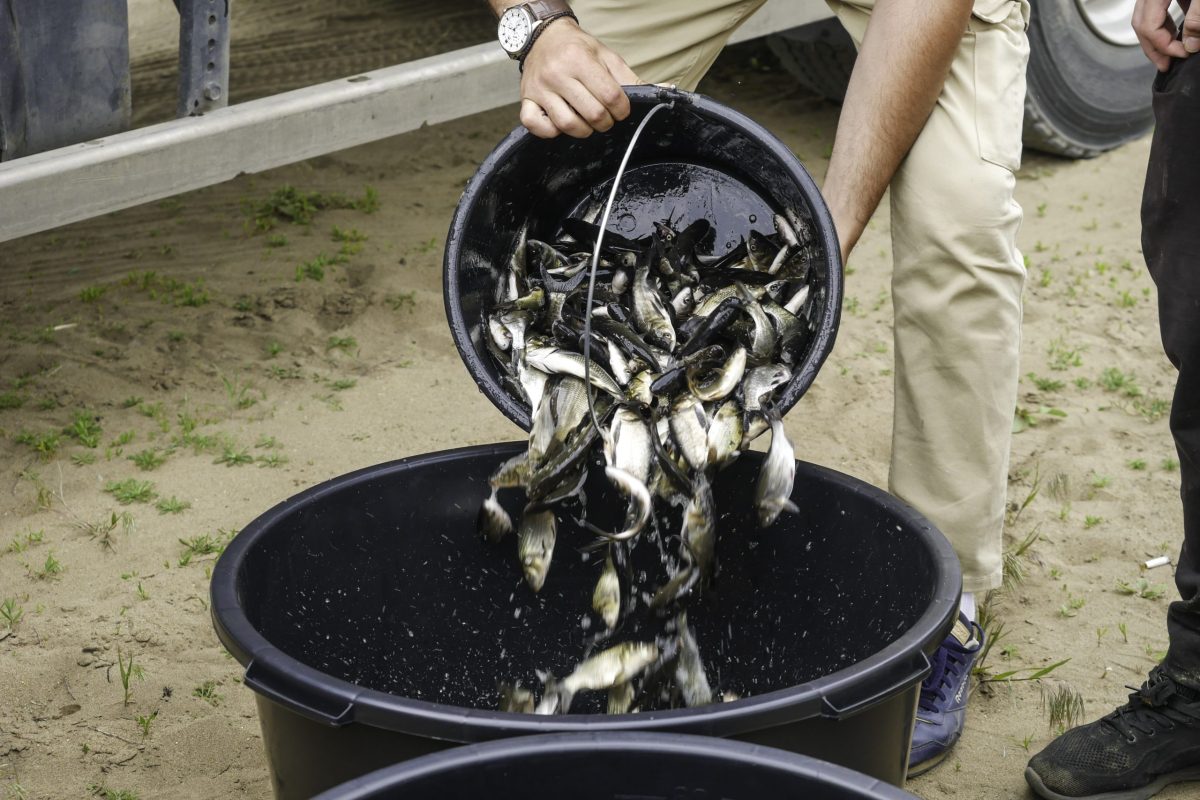 Мы сделали Волгу чище и богаче!