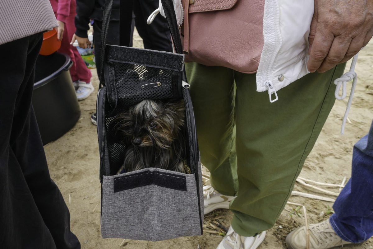 Мы сделали Волгу чище и богаче!