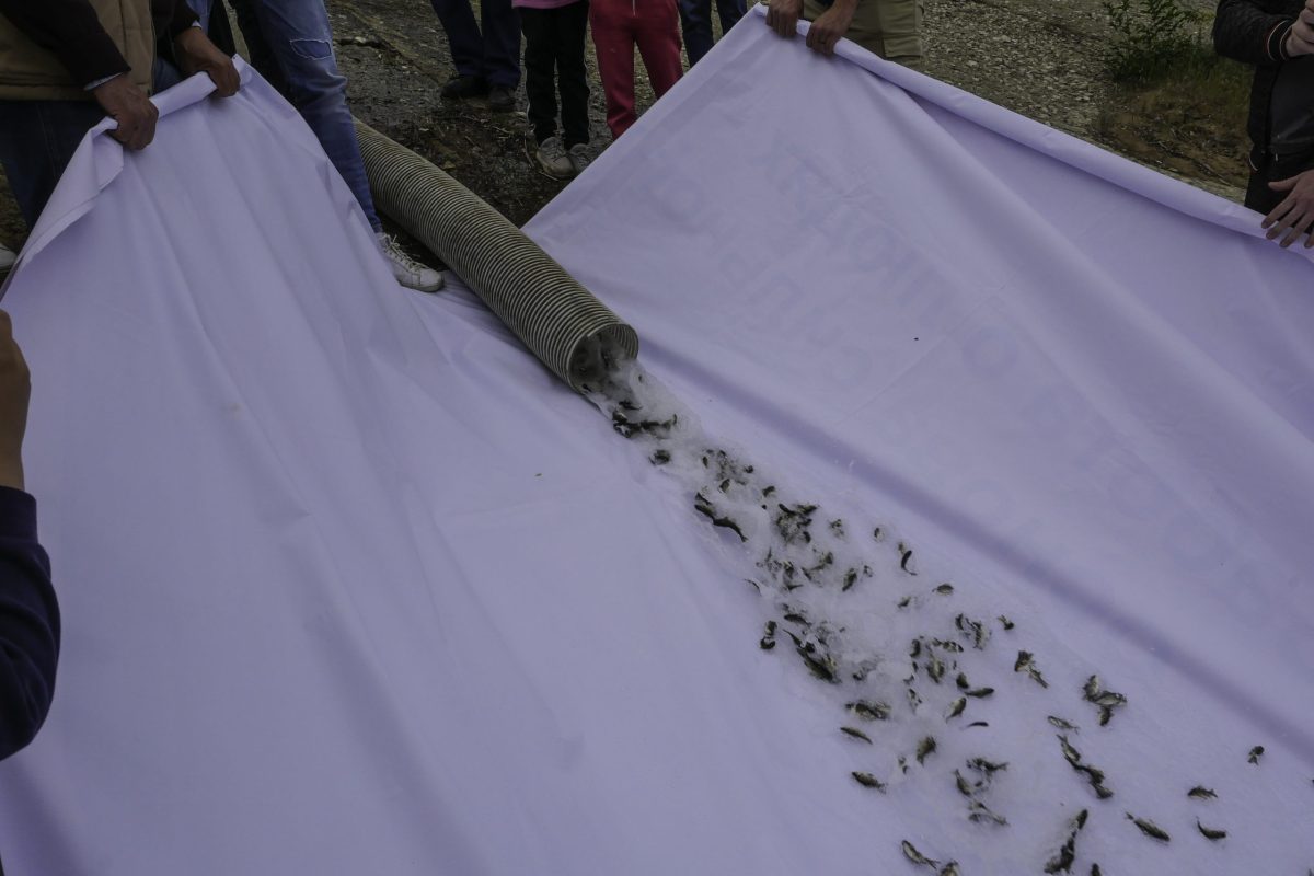 Мы сделали Волгу чище и богаче!