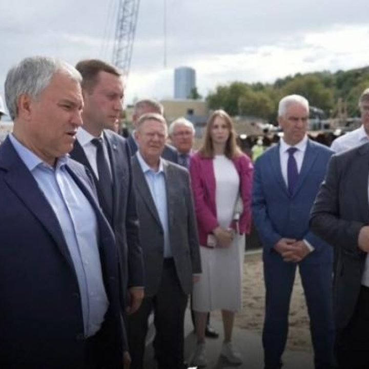 Володин в Затоне – ответственным за реконструкцию набережной: почему пляж до сих пор не открыт?