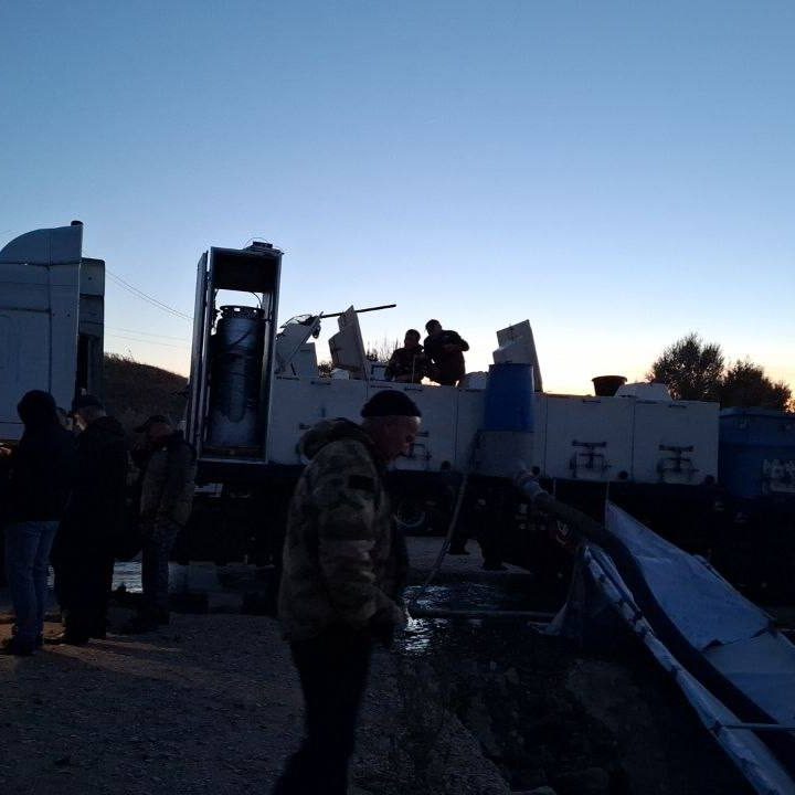 🐟В Волгу выпустили 650 тысяч мальков сазана